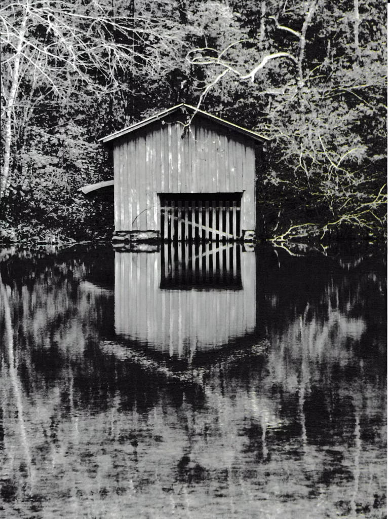 5x7 Black and White Print ~ Reflection
